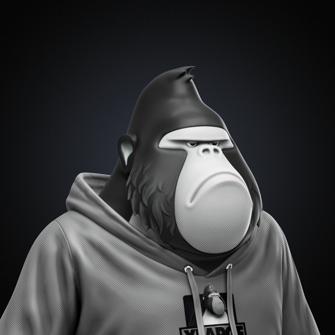 XLARGE x DAA HOODIE