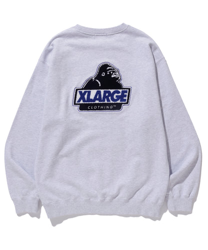 CHENILLE SLANTED OG HOODED SWEATSHIRT