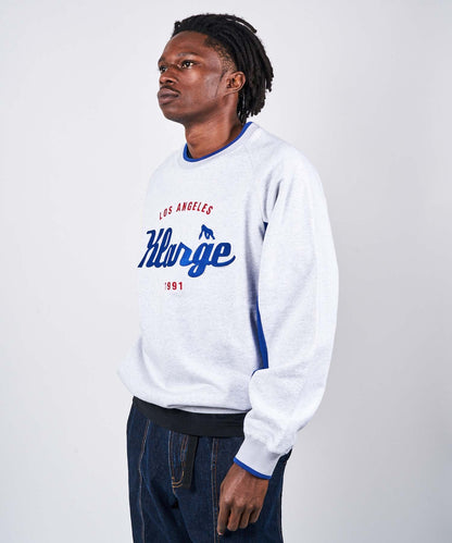 TEAM LOGO 2TONE CREWNECK SWEAT