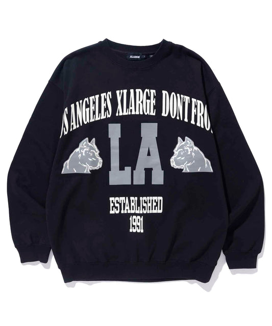 BIG PRINT CREW NECK SWEAT