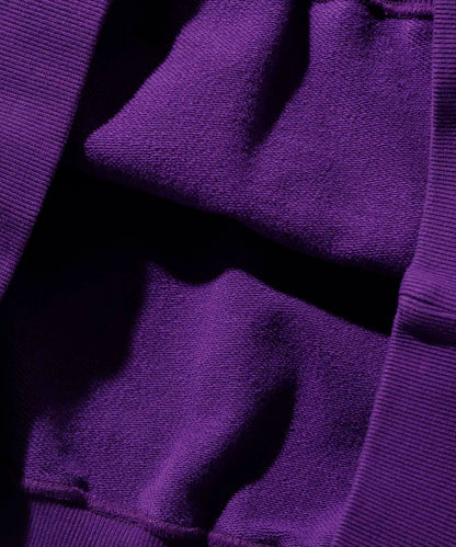 STANDARD LOGO PULLOVER HOODED SWEAT